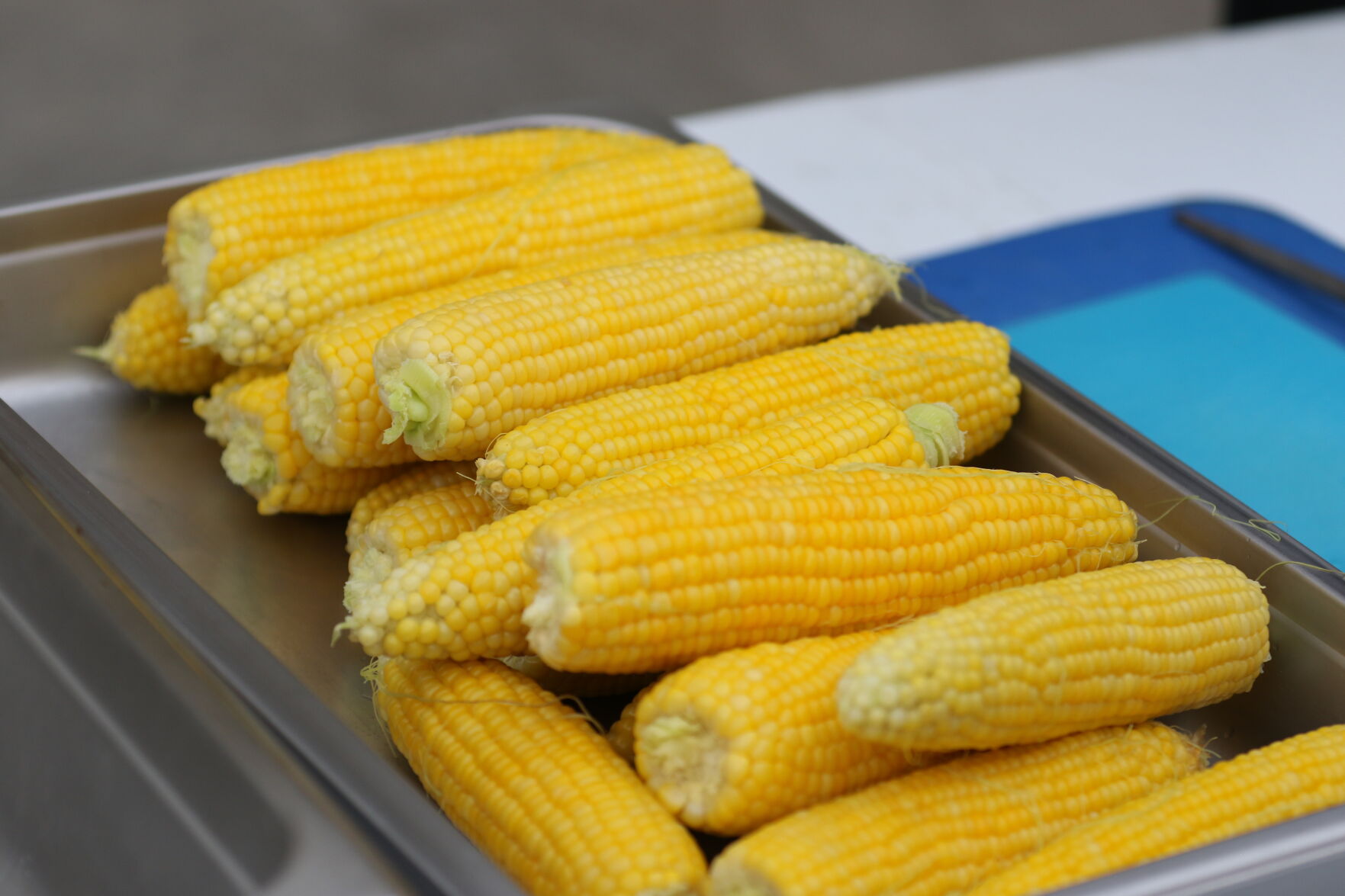Sweet Corn Feed (37).JPG